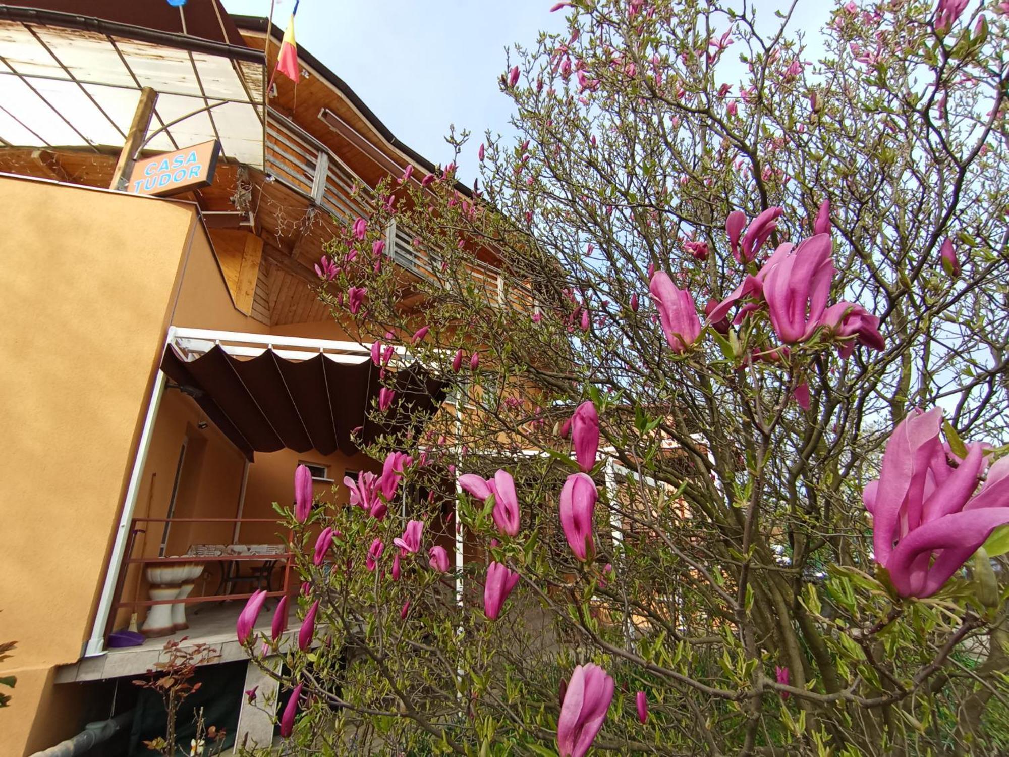 Casa Tudor Turda Exterior foto