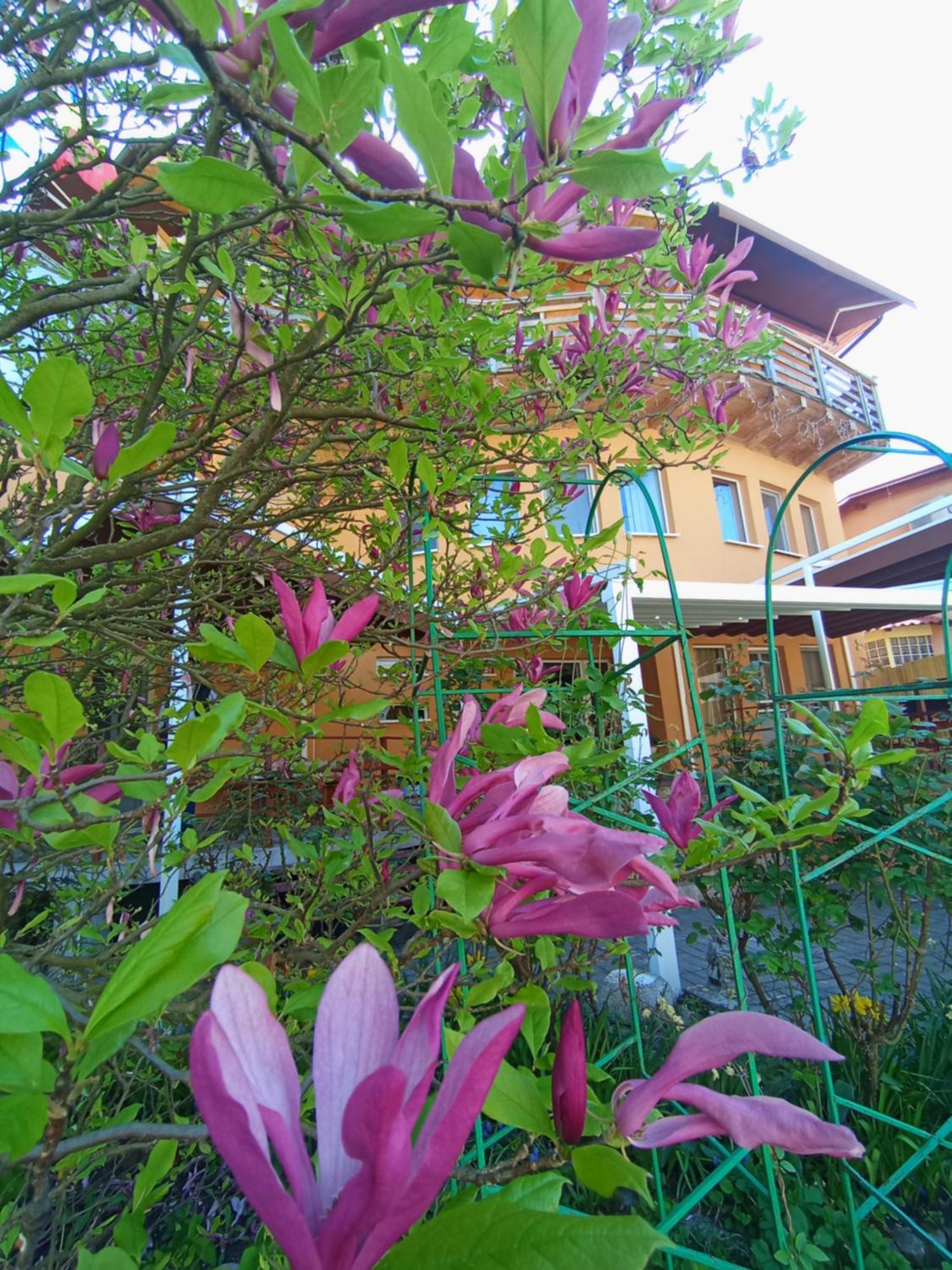 Casa Tudor Turda Exterior foto
